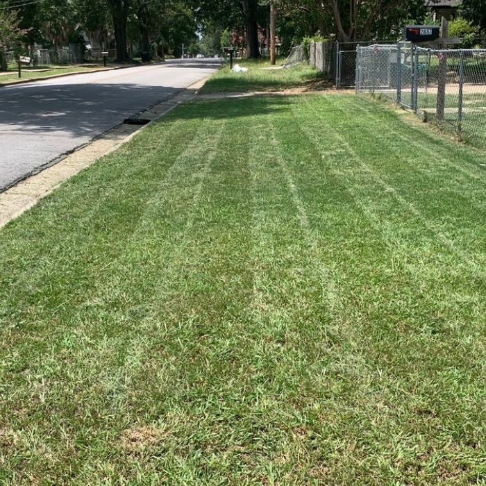 22647921 dlargesquare