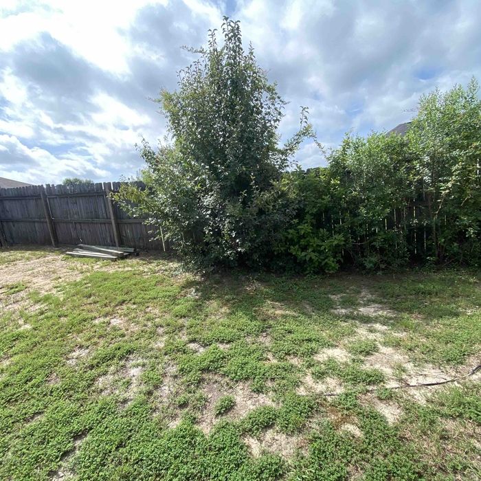 22644096 dlargesquare